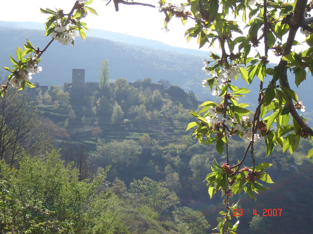 Spring in San Martín del Castañar
