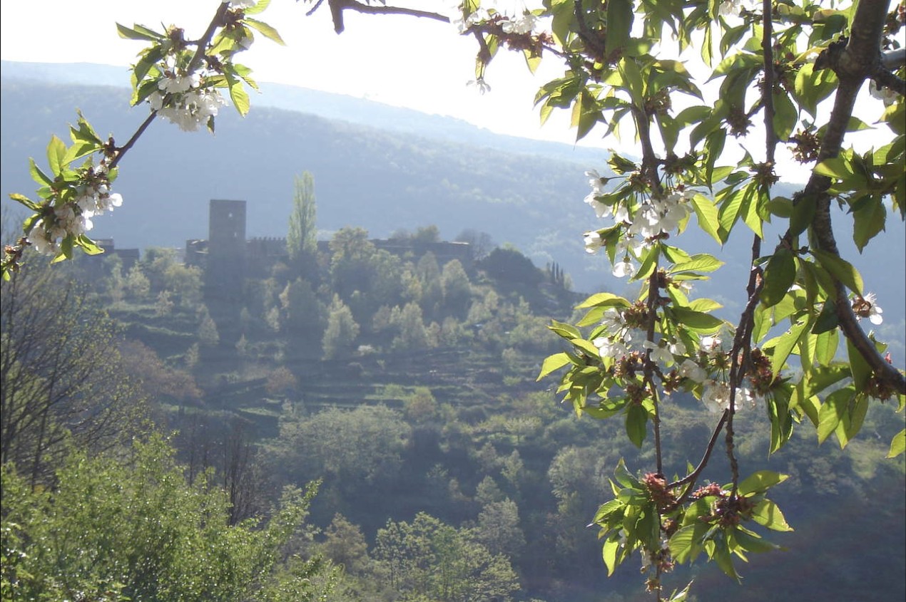 Spring in San Martín del Castañar